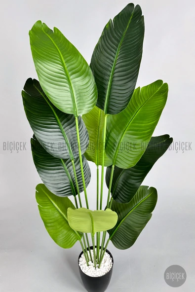 BİÇİÇEK Yapay Muz Ağacı 145-185 cm - Resim 7