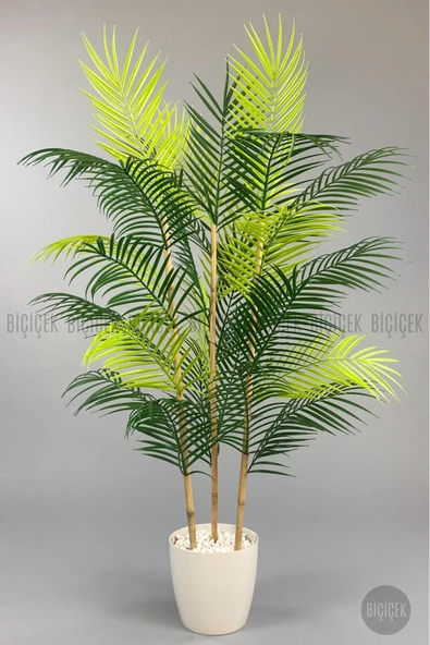 BİÇİÇEK 115cm Areka Ağacı 24 yapraklı yakut Saksıda - Resim 2