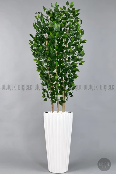 BİÇİÇEK Yapay Bambu ve Benjamin 6 dallı Yoğun Yapraklı 220 cm ürün görseli