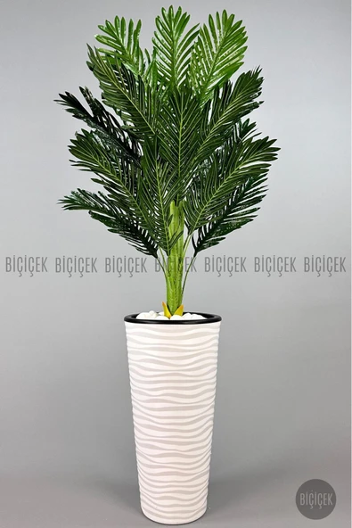 BİÇİÇEK 150cm Areka Ağacı Kumsal Saksıda ürün görseli