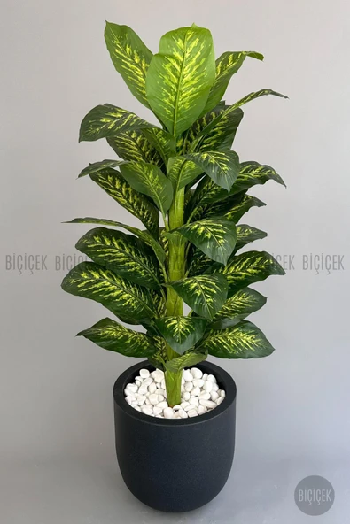 BİÇİÇEK Yapay Difenbahya Ağacı 190 cm lux dış mekan saksıda - Resim 4