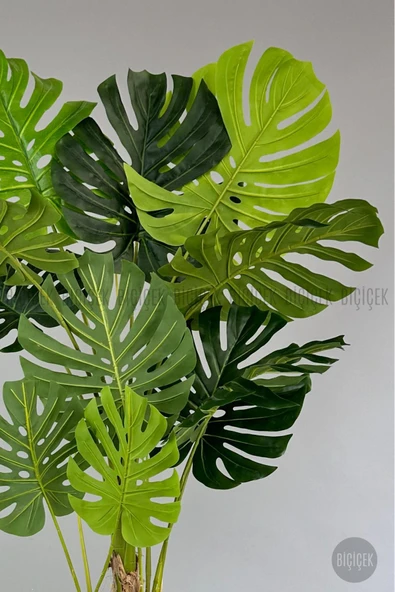 BİÇİÇEK Yapay Monstera Ağacı 200 cm lux dış mekan saksıda - Resim 4