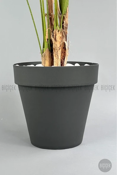 BİÇİÇEK YAPAY AREKA AĞACI  BÜYÜK BOY PALMİYE AĞACI 4 BAMBU GÖVDELİ 220CM ANTRASİT RENK YALI SAKSIDA - Resim 4