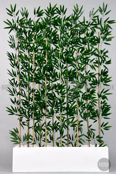 BİÇİÇEK Bambu Separator 170 cm 10 dallı Yoğun Yapraklı - Resim 6