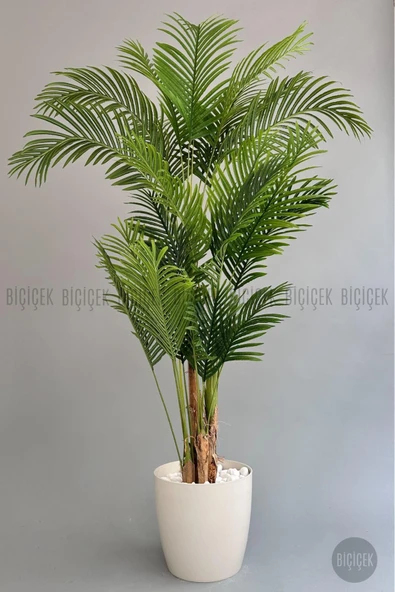 BİÇİÇEK Yapay Areka Palmiyesi 200 Cm Kırıkbeyaz Yakut Saksıda - 5