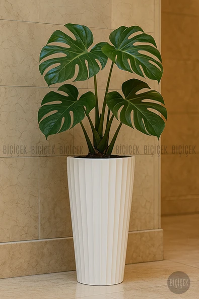 BİÇİÇEK Lilyum Vazo Saksı 58-70 CM ve İç Kova Dahil - Resim 5