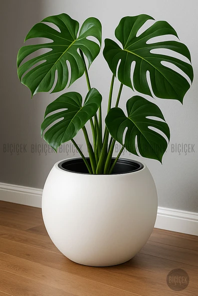 BİÇİÇEK Plastik Küre Saksı 25 CM Çap - Resim 7