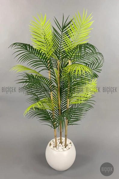 BİÇİÇEK 120cm Areka Ağacı 24 yapraklı Küre Saksıda - Resim 5
