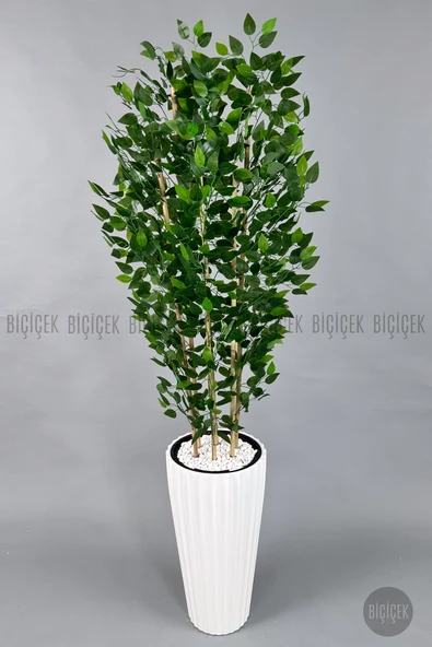 BİÇİÇEK Yapay Bambu ve Benjamin 6 dallı Yoğun Yapraklı 220 cm - Resim 7
