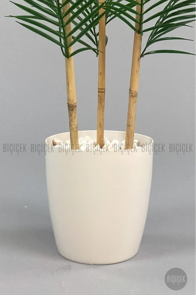 BİÇİÇEK 115cm Areka Ağacı 24 yapraklı yakut Saksıda - Resim 3