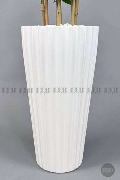 BİÇİÇEK Yapay Bambu ve Benjamin 6 dallı Yoğun Yapraklı 220 cm - Resim 2