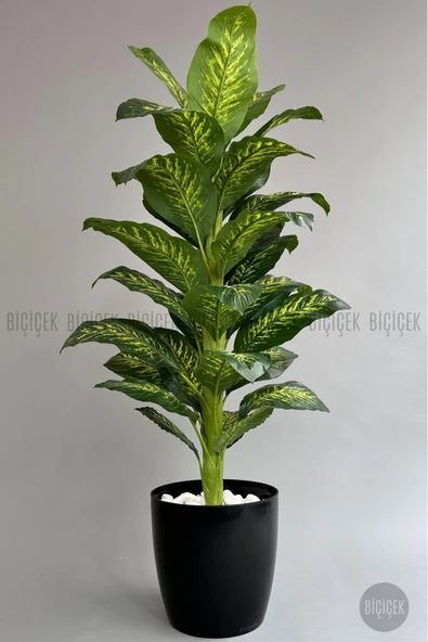 BİÇİÇEK Yapay Ağaç Difenbahya Bambu Gövdeli 180cm Büyük Boy Siyah Renk Yakut Saksıda - 5