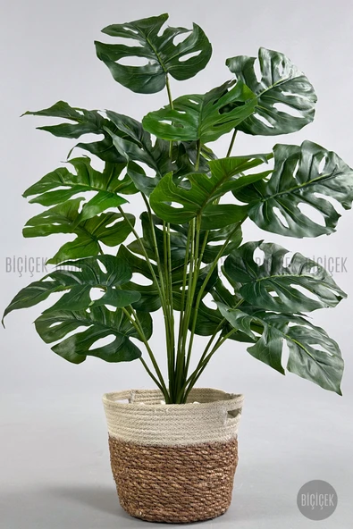 BİÇİÇEK Yapay Monstera Deve Tabanı 65-70 cm - Resim 3