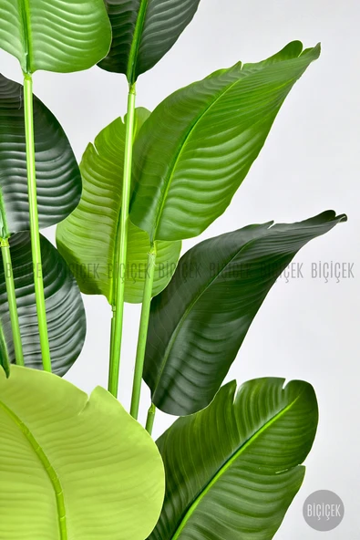 BİÇİÇEK Yapay Muz Ağacı 145-185 cm - Resim 5