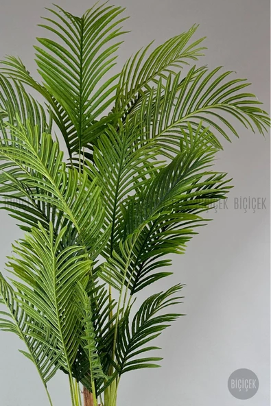 BİÇİÇEK Yapay Areka Palmiyesi 250 cm lux dış mekan saksıda - Resim 4