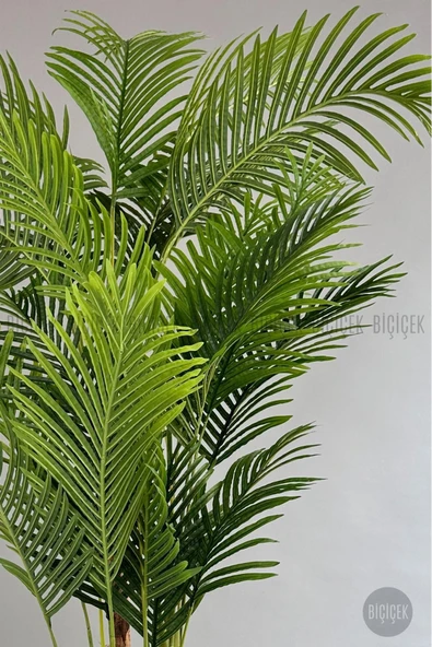 BİÇİÇEK Yapay Areka Palmiyesi 200 cm saksıda - Resim 6