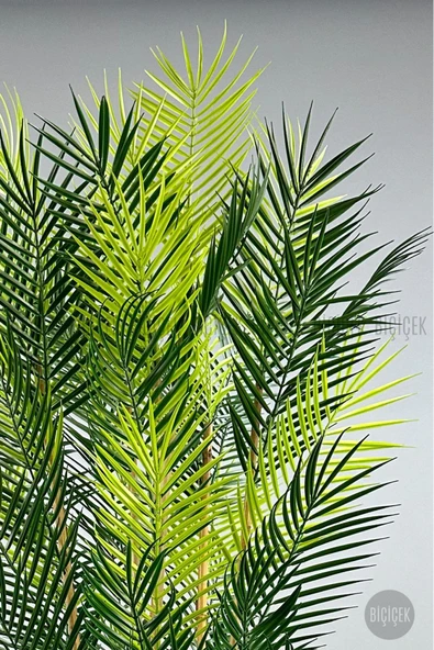 BİÇİÇEK YAPAY AREKA PALMİYESİ 6 GÖVDE GALA SAKSIDA YOĞUN YAPRAKLI - Resim 5