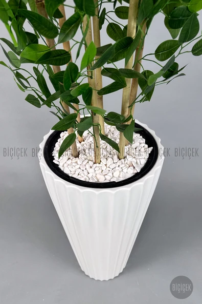 BİÇİÇEK Yapay Bambu ve Benjamin 6 dallı Yoğun Yapraklı 220 cm - Resim 5