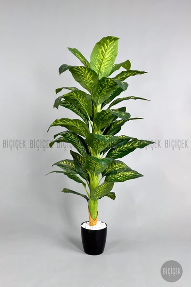 BİÇİÇEK Yapay Difenbahya Ağacı 170-200cm - Resim 8