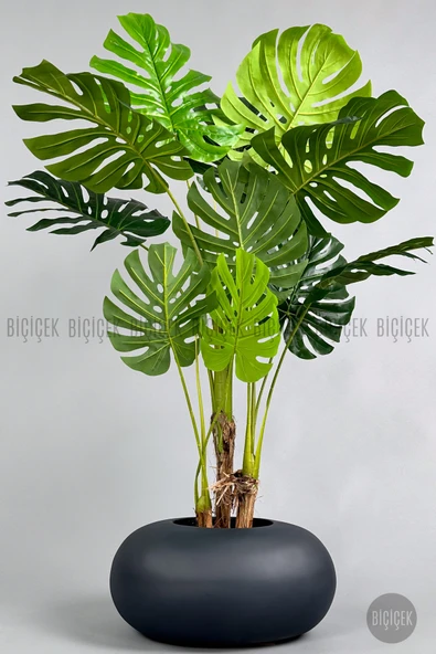 BİÇİÇEK Yapay Monstera Ağacı 150-170 cm ürün görseli