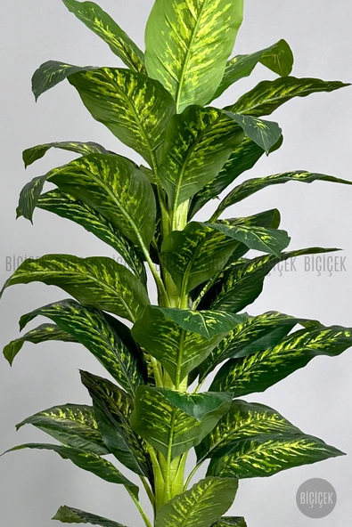 BİÇİÇEK Yapay Difenbahya Ağacı 170-200cm - Resim 6