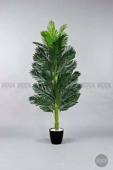 BİÇİÇEK Yapay Areka Ağacı 160-180 cm - Resim 8