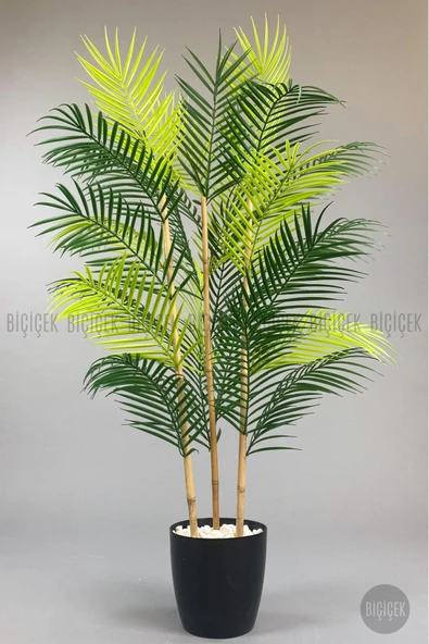 BİÇİÇEK 115cm Areka Ağacı 24 yapraklı yakut Saksıda