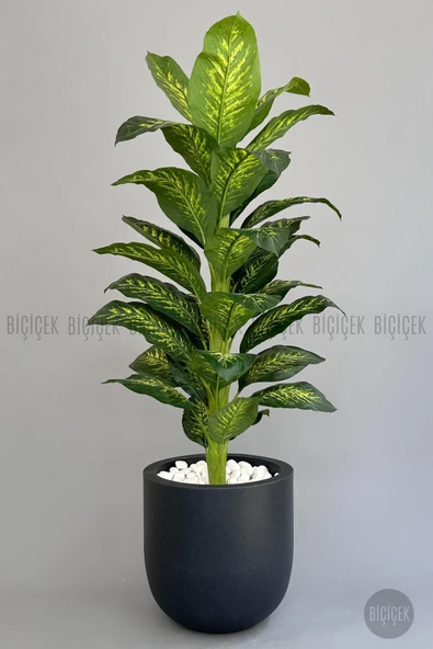 BİÇİÇEK Yapay Difenbahya Ağacı 190 cm lux dış mekan saksıda ürün görseli