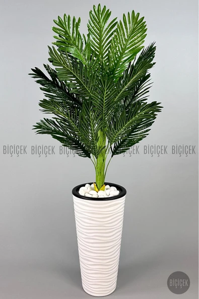BİÇİÇEK 150cm Areka Ağacı Kumsal Saksıda - Resim 4