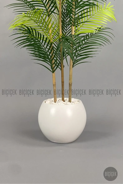 BİÇİÇEK 120cm Areka Ağacı 24 yapraklı Küre Saksıda - Resim 6