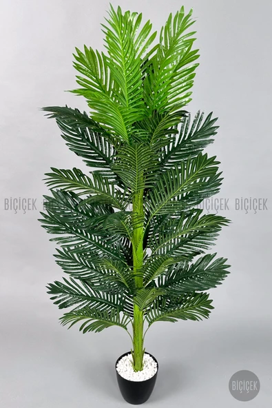 BİÇİÇEK Yapay Areka Ağacı 160-180 cm - Resim 2