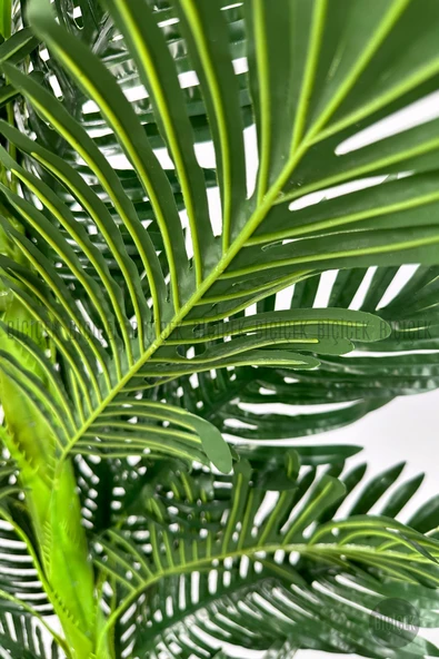 BİÇİÇEK Yapay Areka Ağacı 160-180 cm - Resim 3