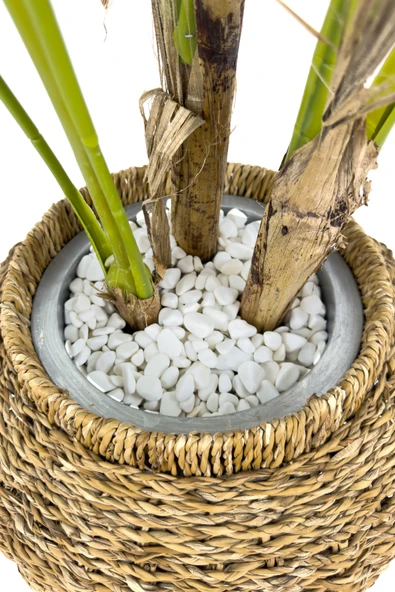 BİÇİÇEK Luxury Monstera Bitkisi 180cm Hasır saksıda bohem3 - Resim 5