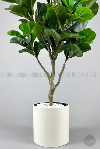 BİÇİÇEK Keman Yapraklı Kauçuk Bitkisi Fiddle Lyrata Metal Saksı - Resim 6