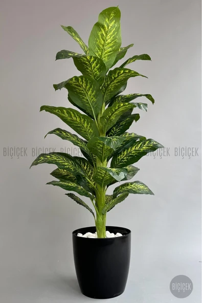 BİÇİÇEK Yapay Ağaç Difenbahya Bambu Gövdeli 180cm Büyük Boy Siyah Renk Yakut Saksıda - 7