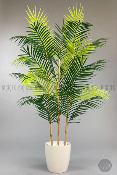 BİÇİÇEK 115cm Areka Ağacı 24 yapraklı yakut Saksıda - Resim 5