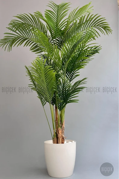 BİÇİÇEK Yapay Areka Palmiyesi 200 Cm Kırıkbeyaz Yakut Saksıda