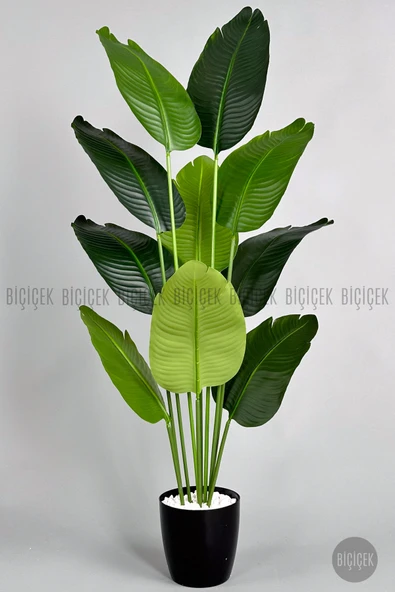 BİÇİÇEK Yapay Muz Ağacı 145-185 cm - Resim 8