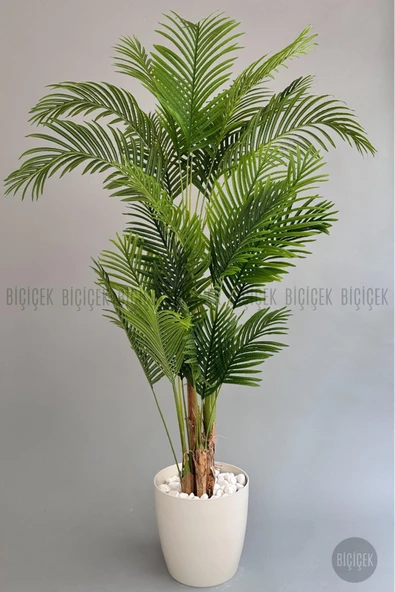 BİÇİÇEK Yapay Areka Palmiyesi 200 Cm Kırıkbeyaz Yakut Saksıda - 7