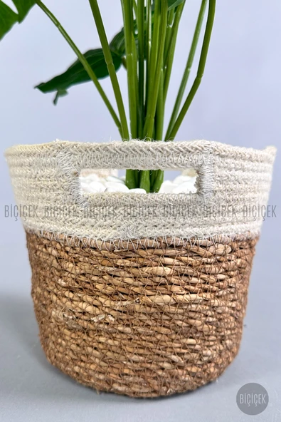 BİÇİÇEK Yapay Monstera Deve Tabanı 65-70 cm - Resim 7