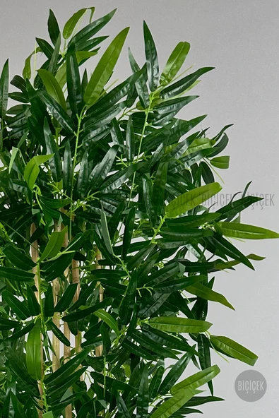 BİÇİÇEK Yapay Bambu Ağacı 170cm Büyük Yapraklı 5 Bambulu Kırık Beyaz Renk Nergis Saksıda Yapay Ağaç - Resim 4