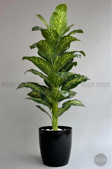 BİÇİÇEK Yapay Ağaç Difenbahya Bambu Gövdeli 180cm Büyük Boy Siyah Renk Yakut Saksıda - 6