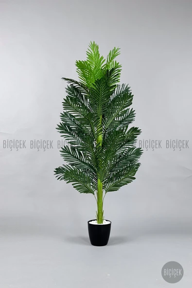 BİÇİÇEK Yapay Areka Ağacı 160-180 cm - Resim 5