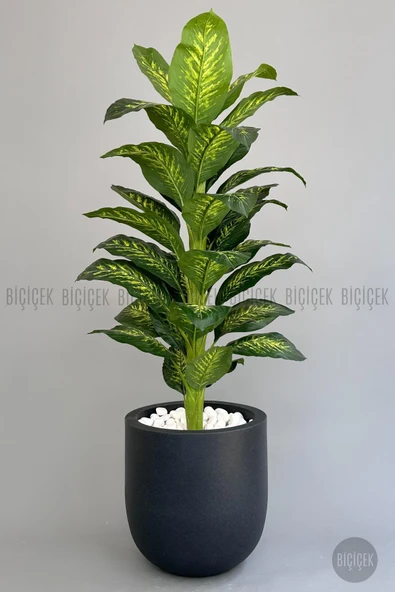 BİÇİÇEK Yapay Difenbahya Ağacı 190 cm lux dış mekan saksıda - Resim 8