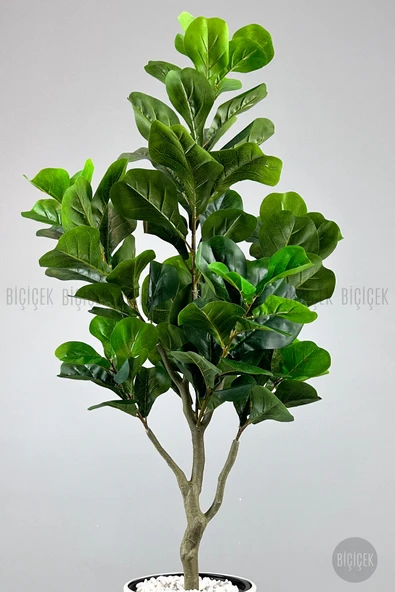 BİÇİÇEK Keman Yapraklı Kauçuk Bitkisi Fiddle Lyrata Metal Saksı - Resim 2