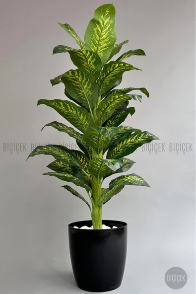 BİÇİÇEK Yapay Ağaç Difenbahya Bambu Gövdeli 180cm Büyük Boy Siyah Renk Yakut Saksıda