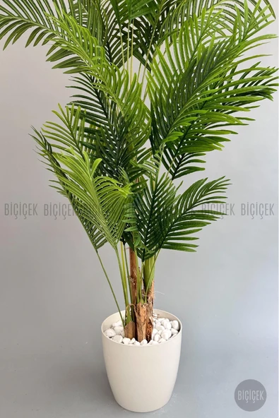 BİÇİÇEK Yapay Areka Palmiyesi 200 Cm Kırıkbeyaz Yakut Saksıda - 2