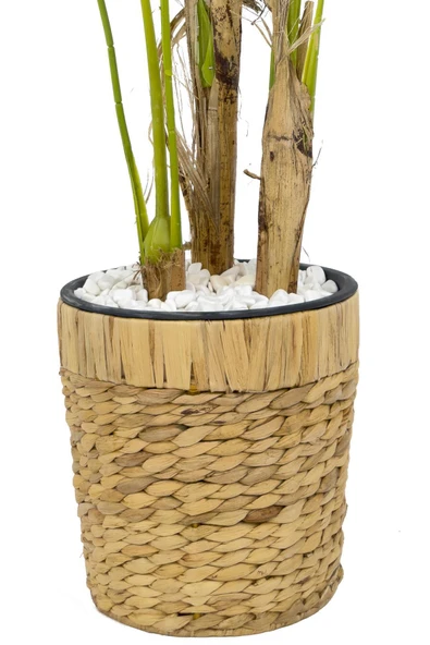 BİÇİÇEK Monstera Ağacı 150cm fejka hasır saksıda - Resim 3