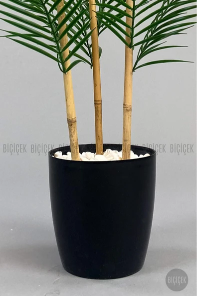 BİÇİÇEK 115cm Areka Ağacı 24 yapraklı yakut Saksıda - 3
