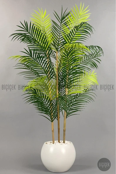 BİÇİÇEK 120cm Areka Ağacı 24 yapraklı Küre Saksıda - Resim 3